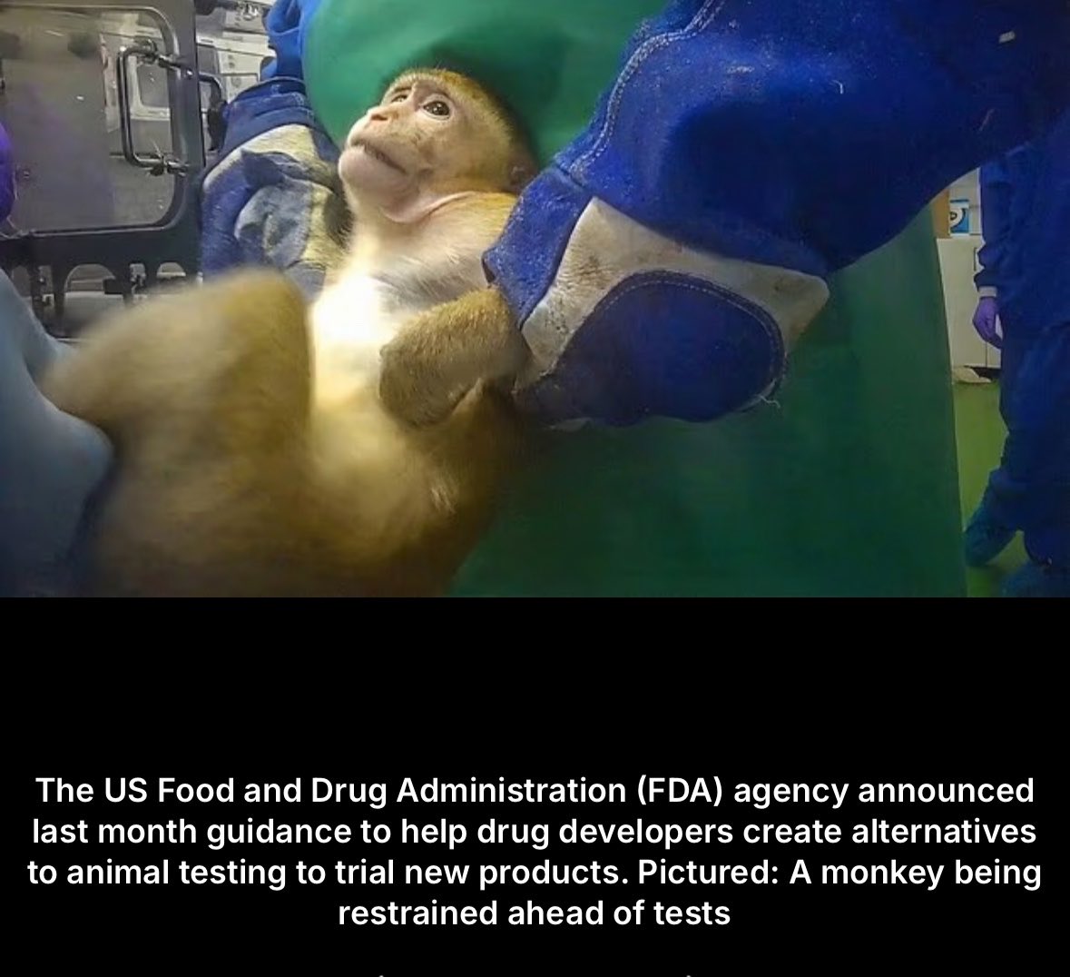 FireRabbit25's tweet image. #AnimalTesting is #AnimalTorture