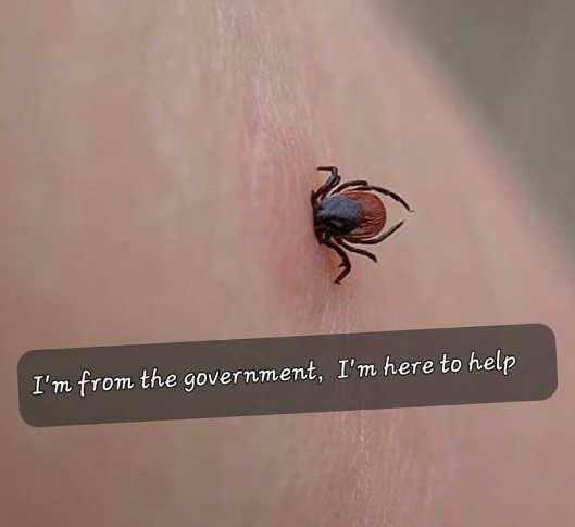 Free Rider tweet media