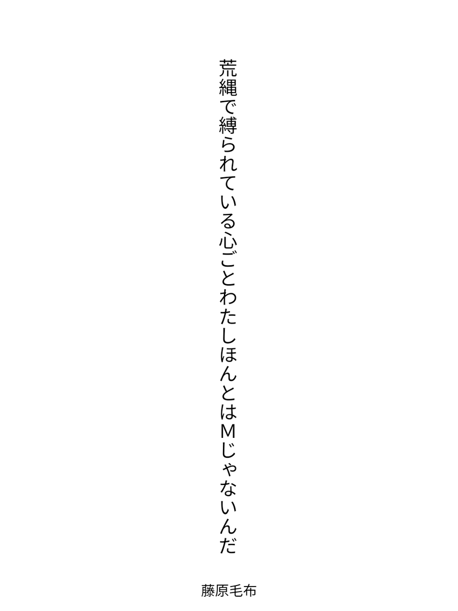 藤原毛布 tweet media