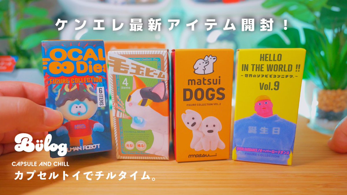 バーナード / Barnard Vlog tweet media