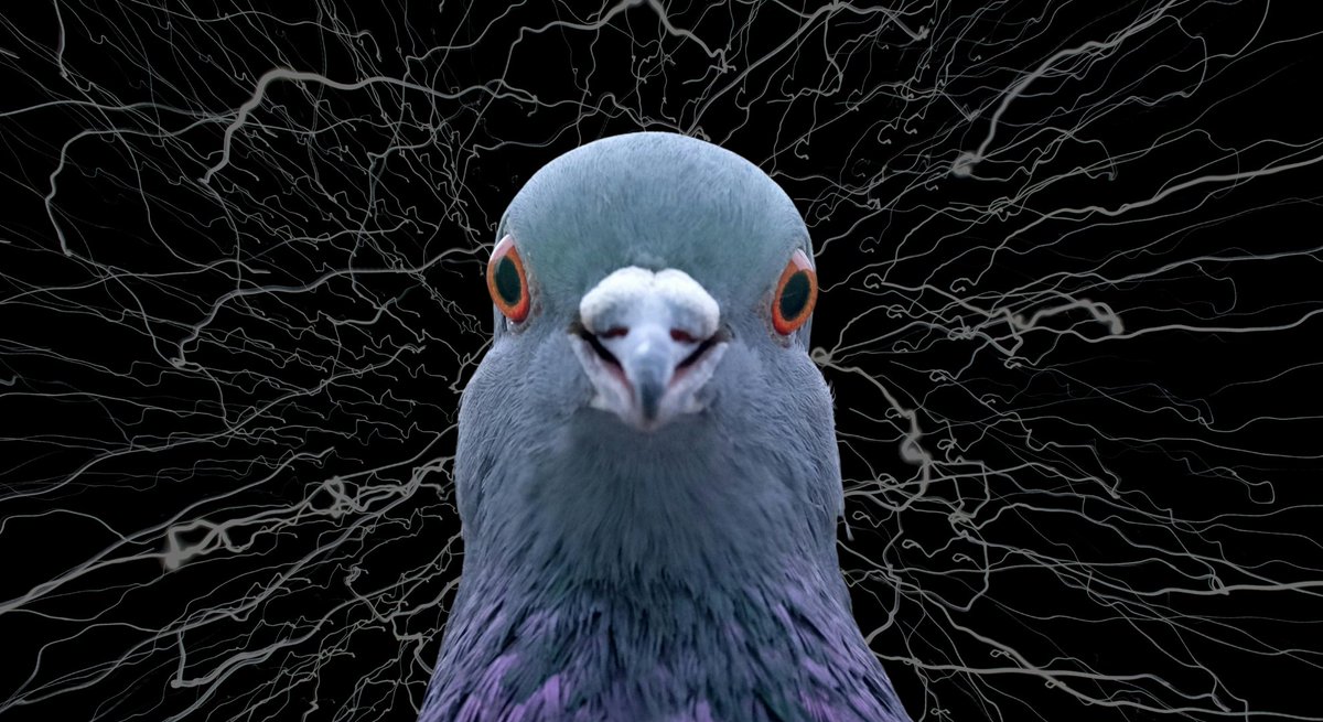 ナゾロジー@科学ニュースメディア tweet media