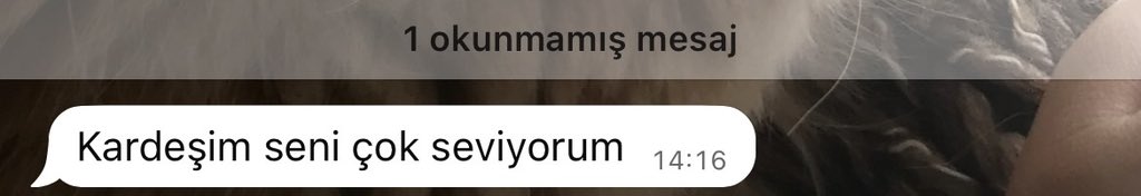 TalayElif_'s tweet photo. ansızın gelen kalpte çiçek açtıran mesajlar https://t.co/62OxYwAZxv