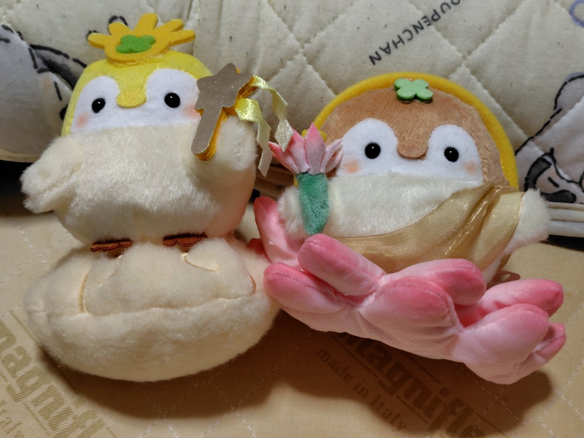 三浦寛子 tweet media