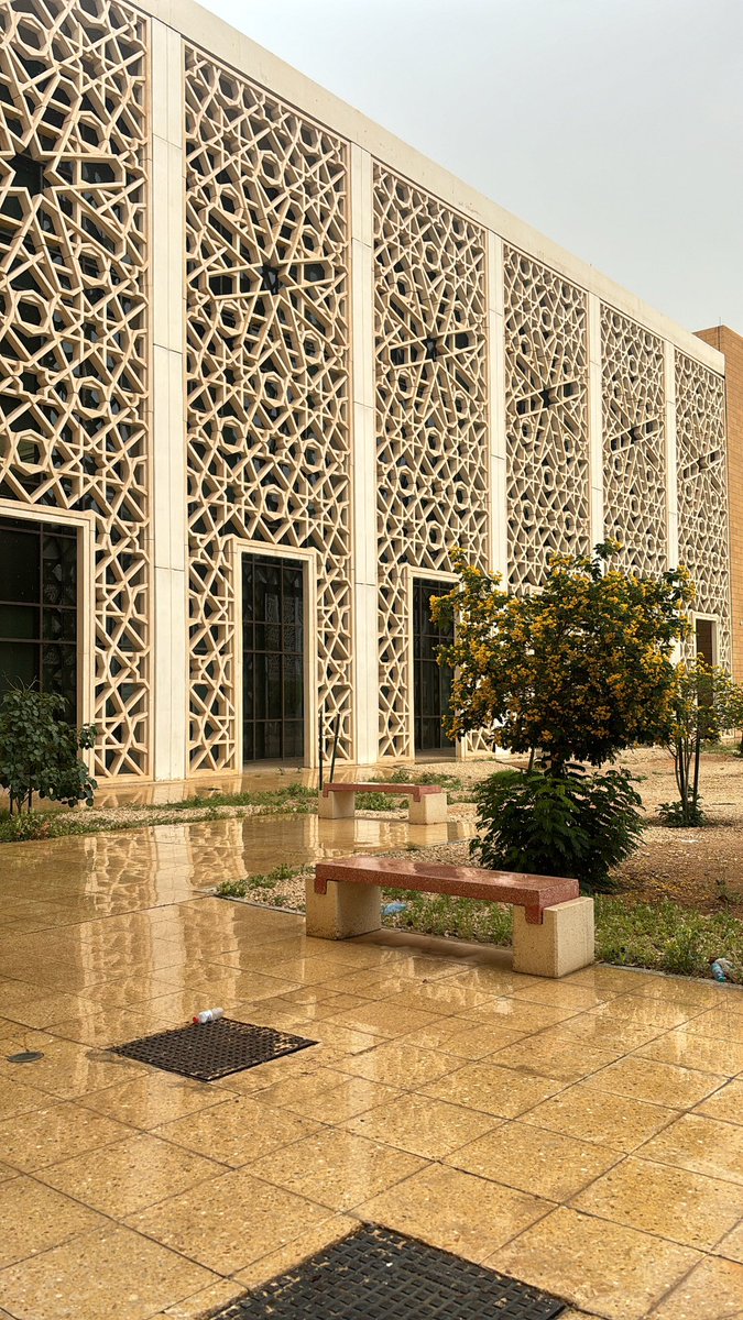 Layan Almashan 🇸🇦 tweet media