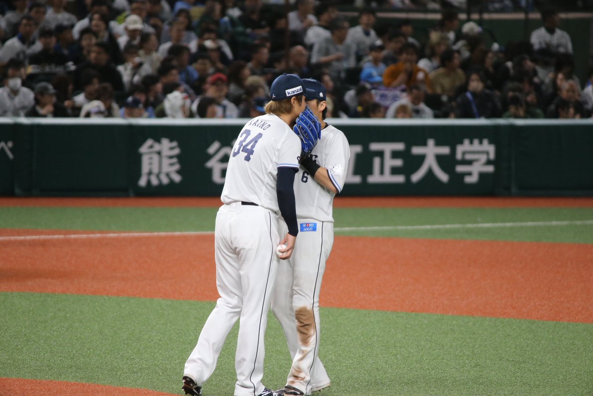 𝔇𝔒𝔄𝔑 ⚾️ tweet media