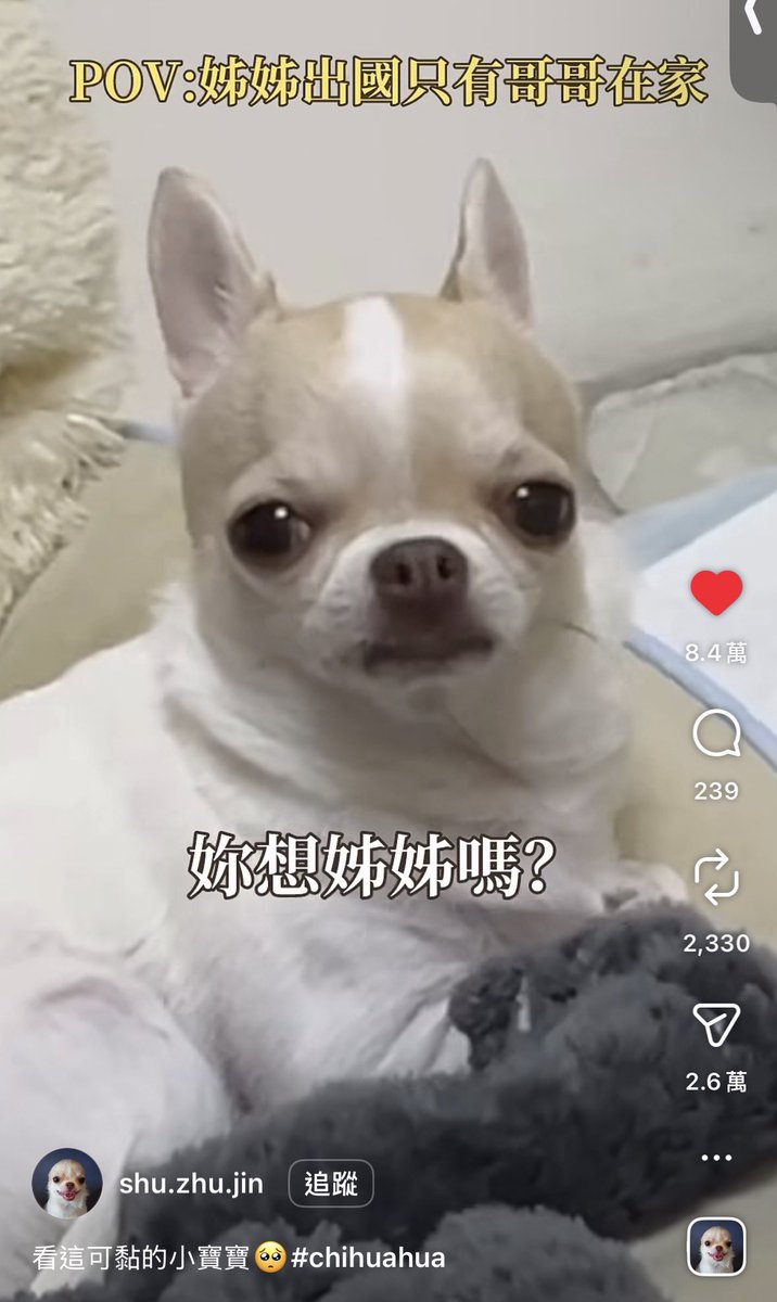 呼呼虎虎🐯 tweet media