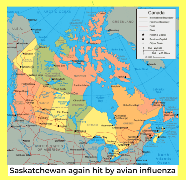 bennel62's tweet image. #Saskatchewan reports 2nd case of #birdflu in 4 days paulsnewsline.blogspot.com/2026/04/saskat…