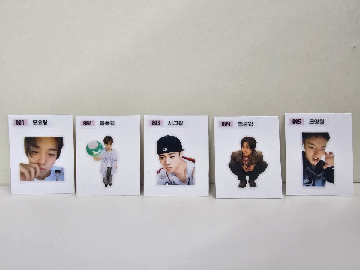 윙끼묘 tweet media