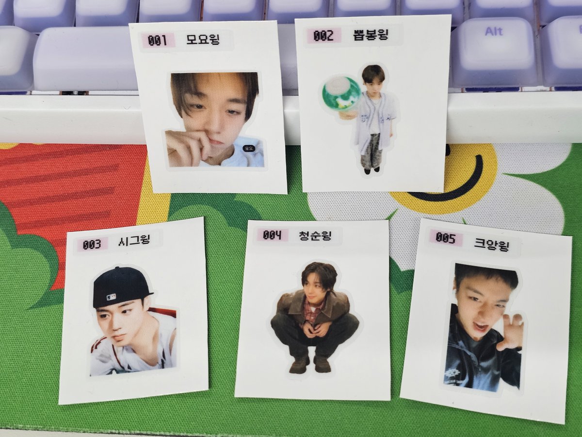윙끼묘 tweet media