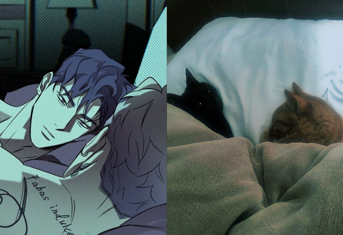 Cat Sand 🐈🐈‍⬛ — Day 8（ch 8
#wetsand #tjian  #tjyw