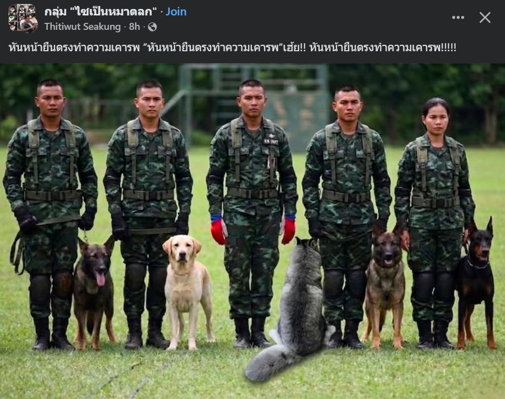 คือผมต้องทราบไหม 🐈‍⬛ tweet media