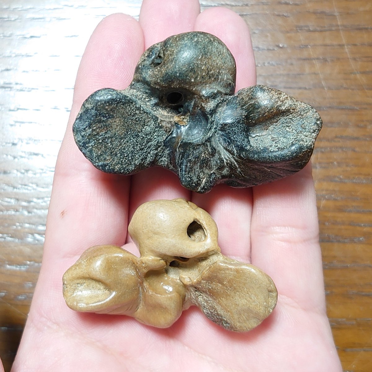 Amule(アミュレ)店長 tweet media