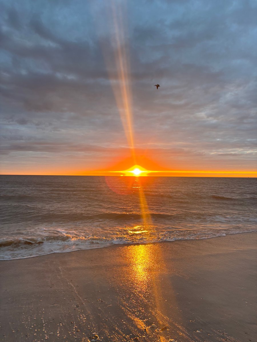 valkerie777's tweet image. Good morning from #Florida #sunrise #beachlife