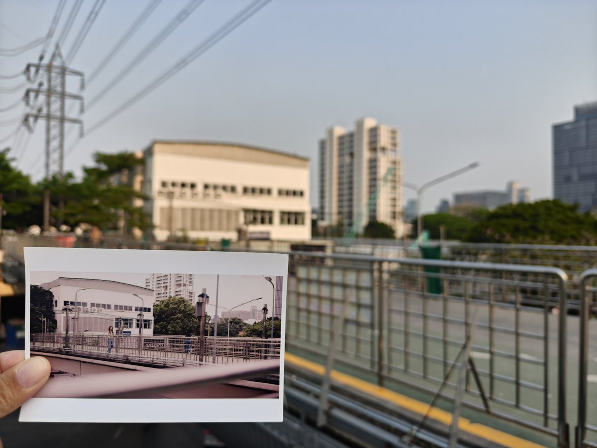 🍗WP 🐨🐰 tweet media