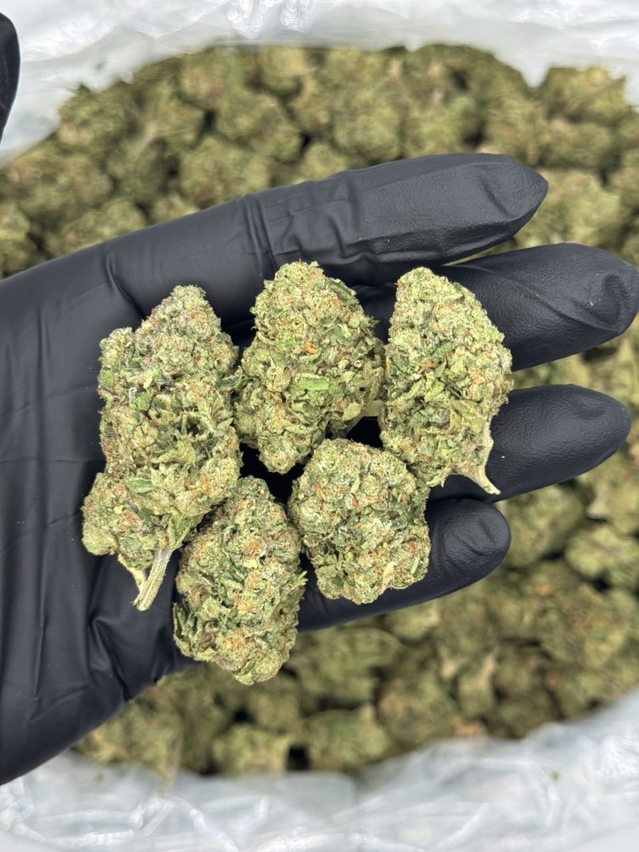 og_smoka's tweet image. Wake and bake fam keep the 420 vibes going on CANDY SALAD 
 SOFT NUGS . #420Community
#420Friendly
#CannabisCommunity
#StonerFam
#Mmemberville