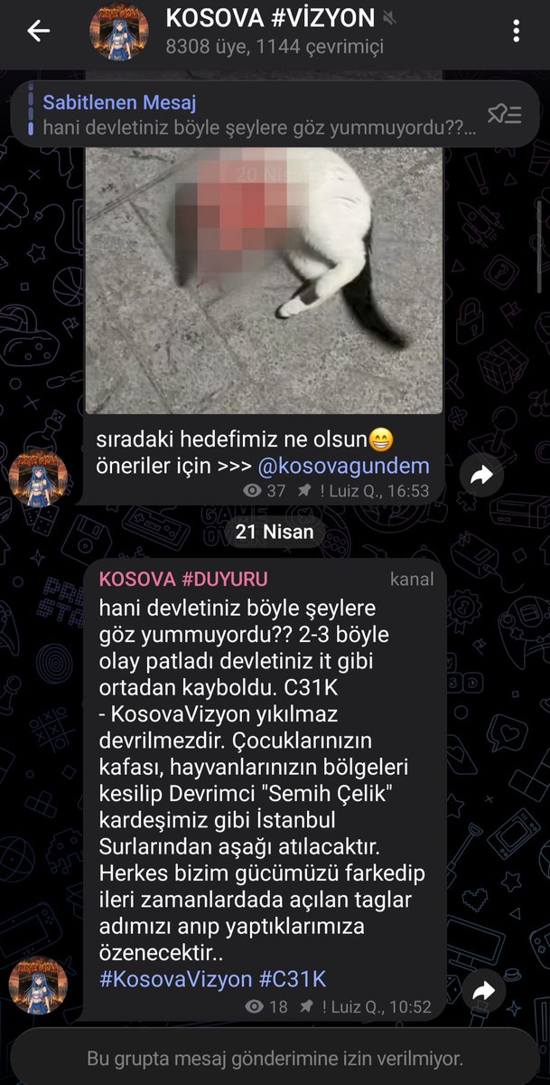 anix_889's tweet photo. C31k destekleyen hayvanlara şiddet uygulayan Türki Cumhuriyeti Devletine saygısızlık yapan bu şahsın Telegram kullanıcı ismi @sehitsiz bu kendisini havalı sanan çocuğun adresi
 Bineqedi şosesi, Dönge 8, Memmed Seid Ordubadi  44, Bakı Azerbaycan
#889team #Keşfet https://t.co/tVUzaGImh9