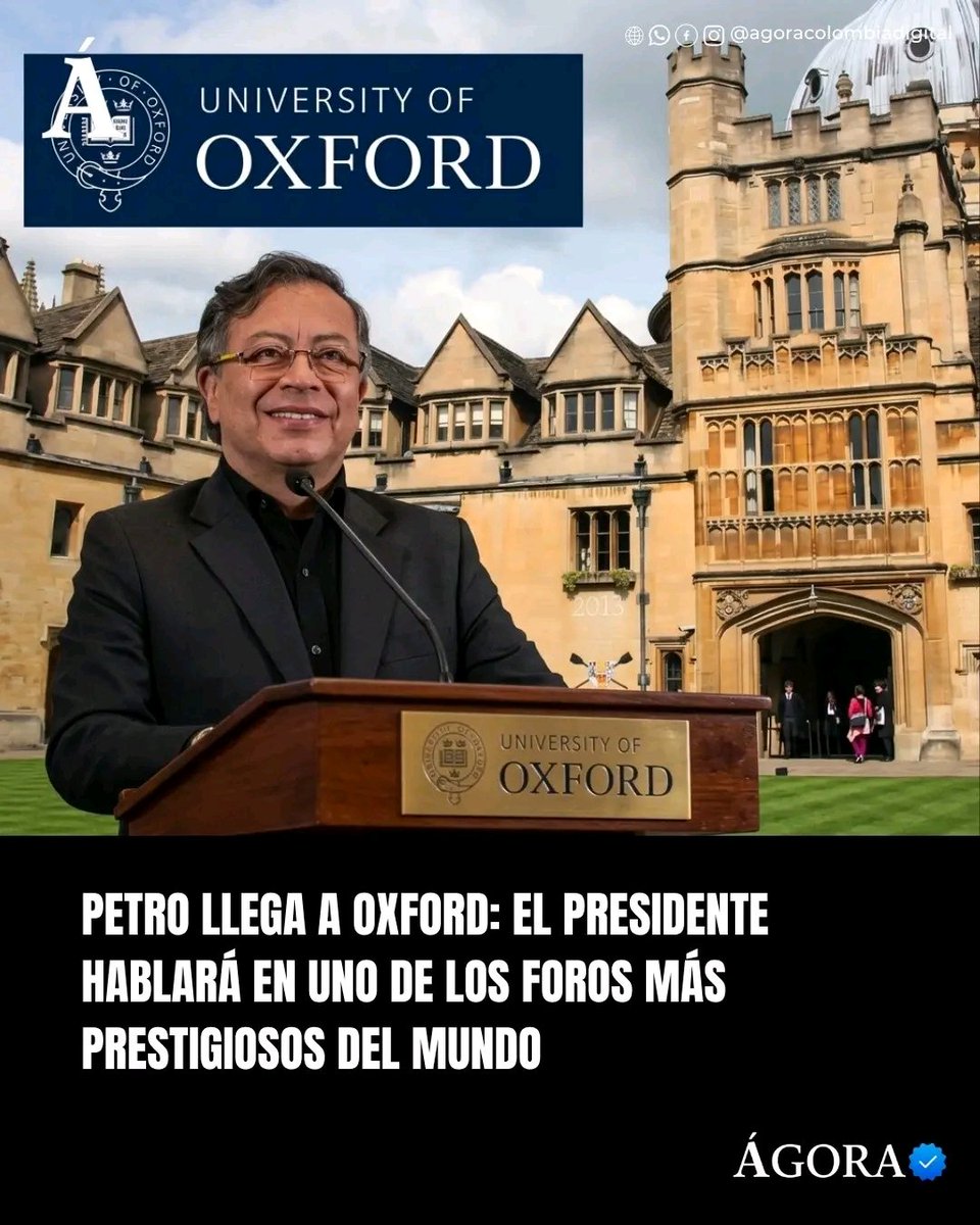 Ave Fénix tweet media