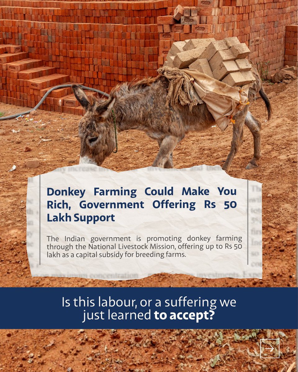 India Animal Fund tweet media