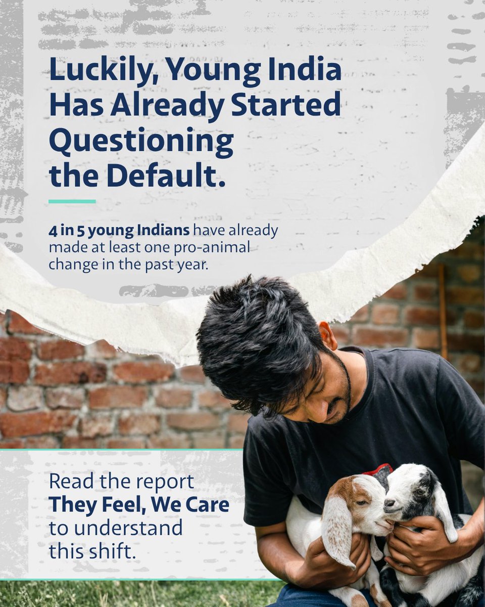 India Animal Fund tweet media