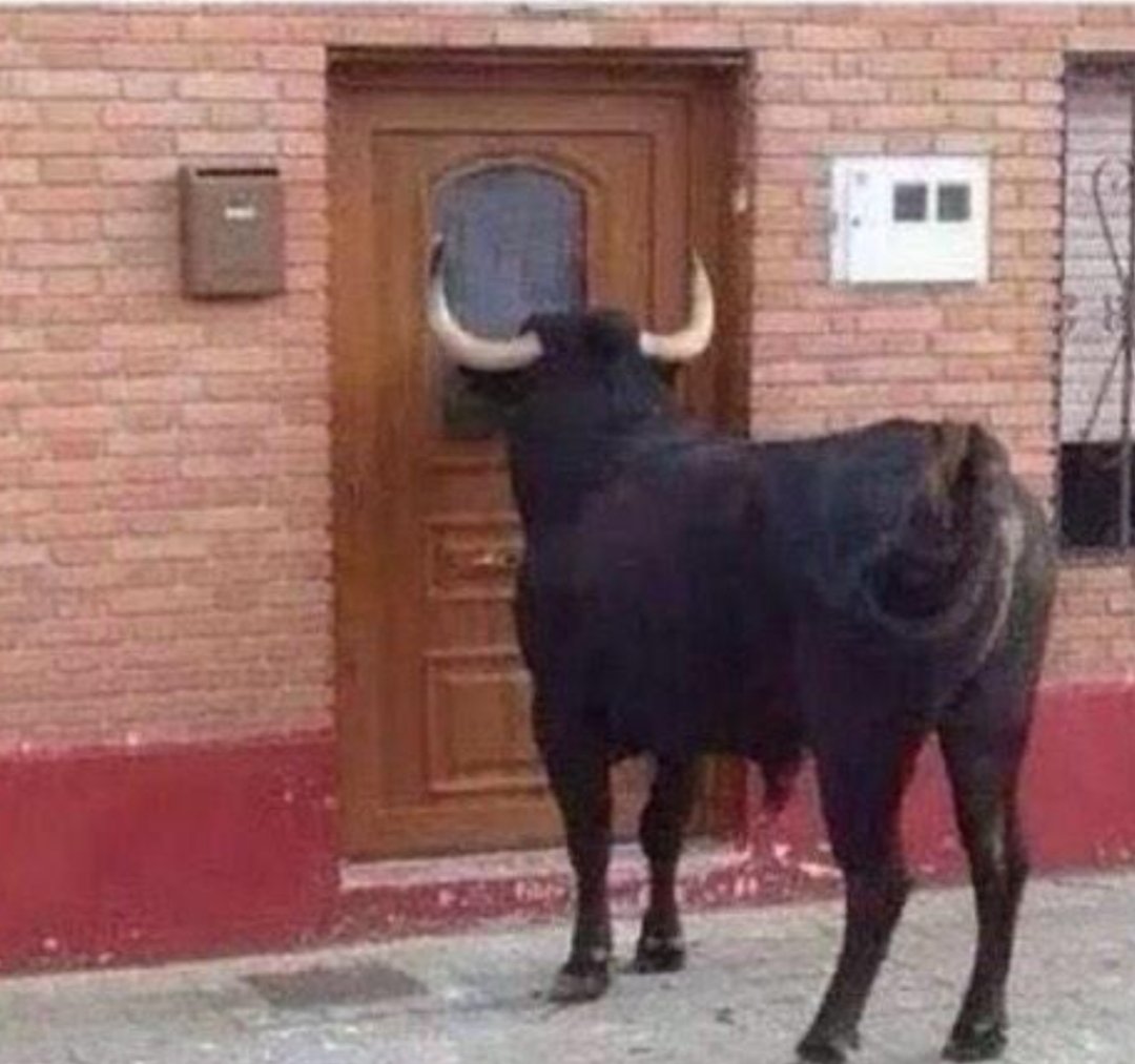 Alan Bradley Grid tweet media