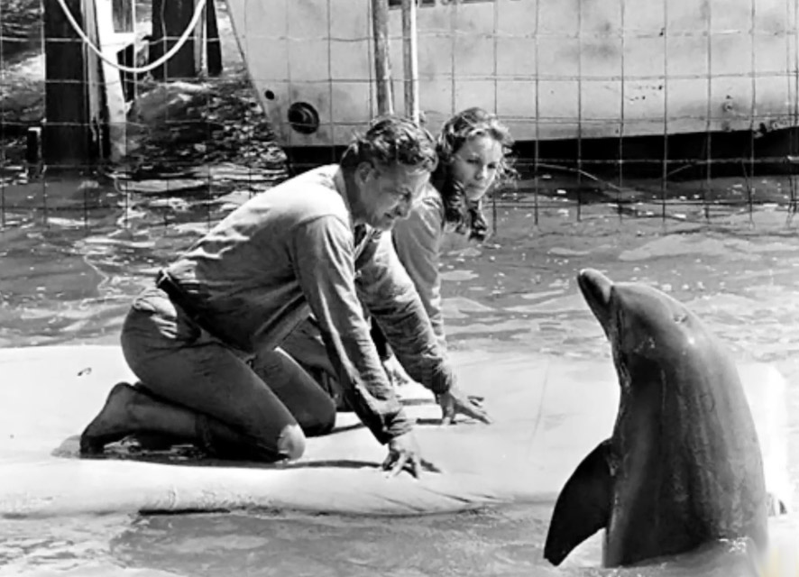 LibertyJapan/リバティジャパン tweet media