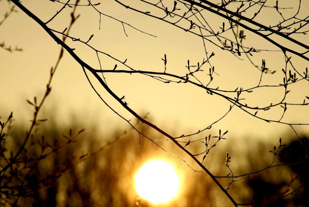 AcyRunway13's tweet image. The treasure was always there...

Have a wonderful Tuesday all ☕️☀️
#Tuesday #April #sunrise #nj 
#spring #thoughts #morning 
#NaturePhotography