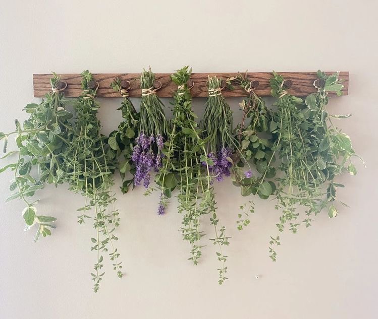 Thread of herbs &amp; baths to cleanse your energy 🕊️