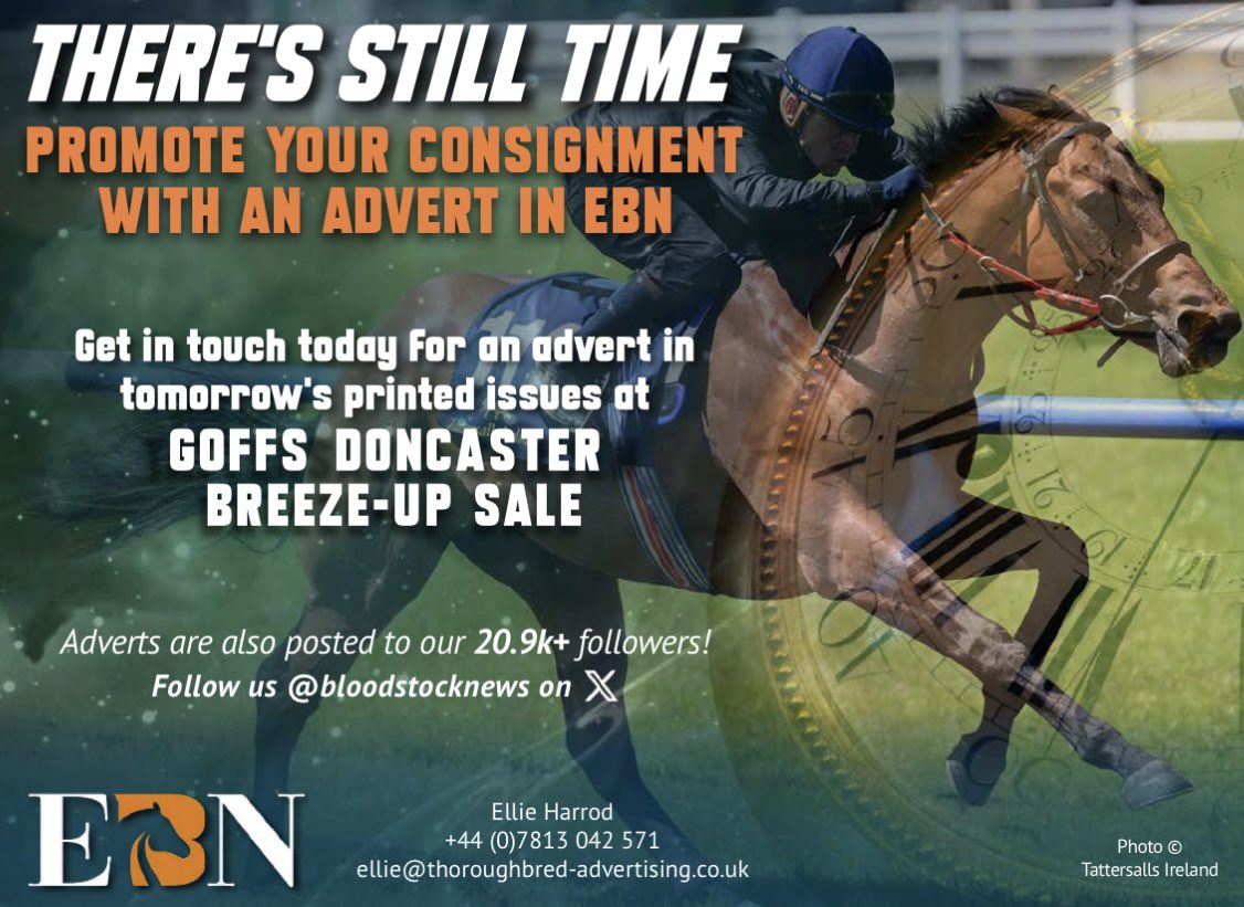 bloodstocknews's tweet image. There's still time ⏲️

Promote your consignment with an advert in EBN and breeze your way to the top lots🚀

Get in touch today for an advert in tomorrow's printed issue at @GoffsUK Doncaster Breeze-Up Sale✅

#ReadAllAboutIt