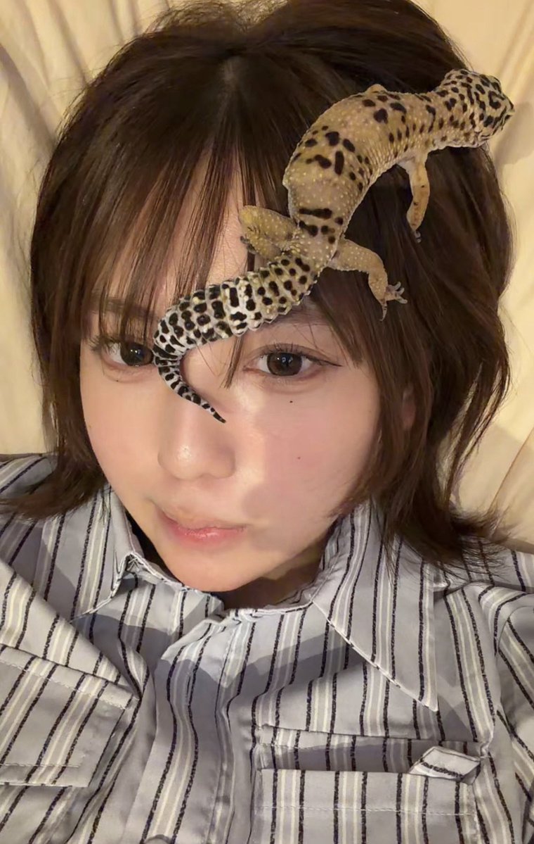 ︎ ︎ ︎ ︎cheka tweet media