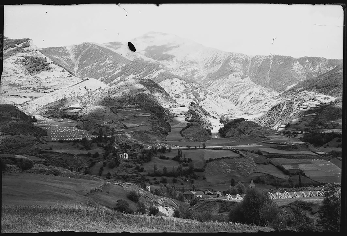 AndMedieval's tweet photo. Abans a Andorra només un 4% era cultivable.
Cultius: cereals, blat, ordi.
Autobasteciment: subsistencia.
Es dedicaven a la supervivencia.
#cultius #supervivencia https://t.co/gf7cTbCfvM