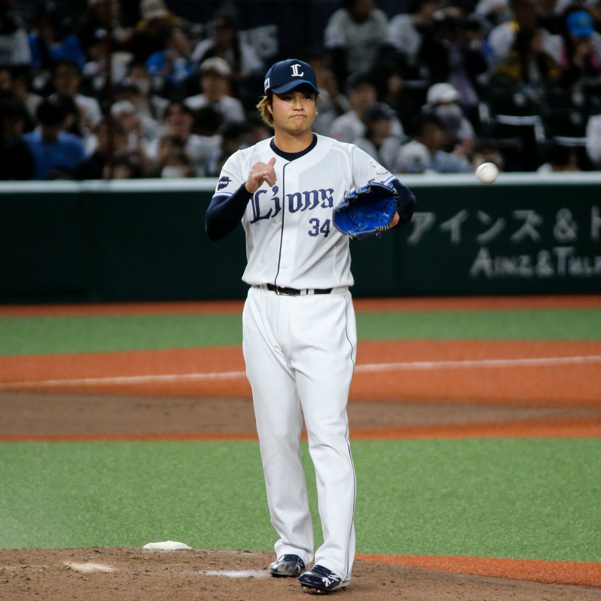 𝔇𝔒𝔄𝔑 ⚾️ tweet media