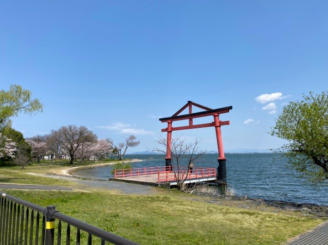 白いカラスの男 tweet media