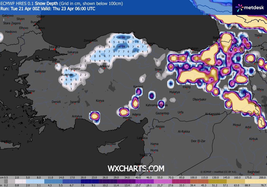 Ahmet Uçar tweet media