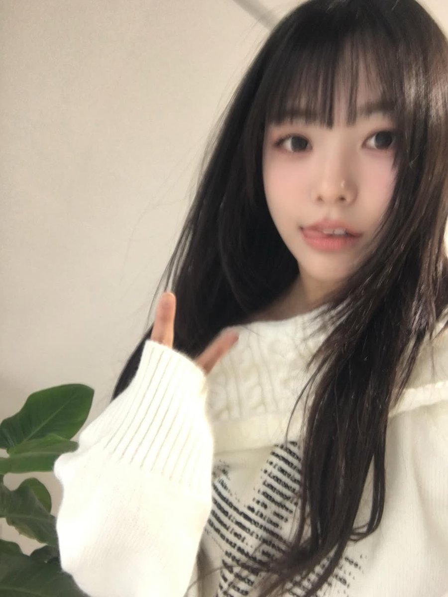 QWERDiary tweet media