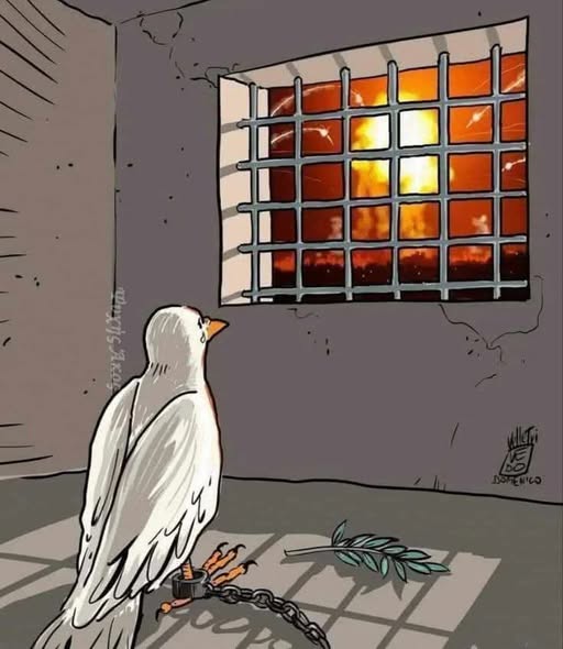 omarMenoni5's tweet image. #banksy