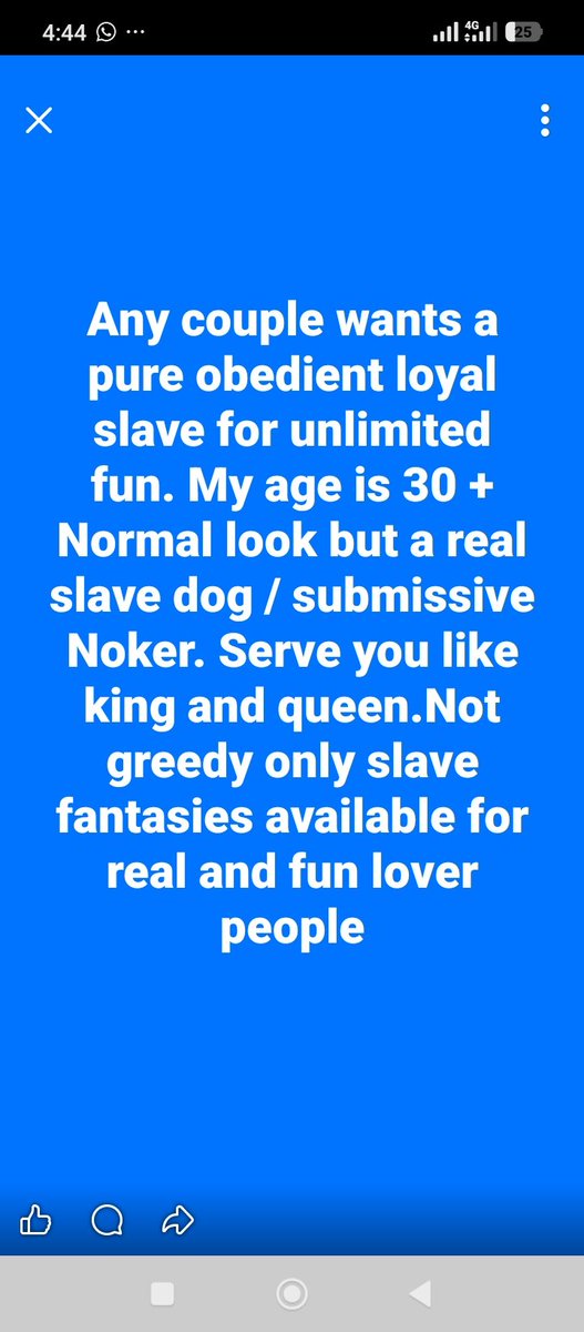 Hammad Umair tweet media