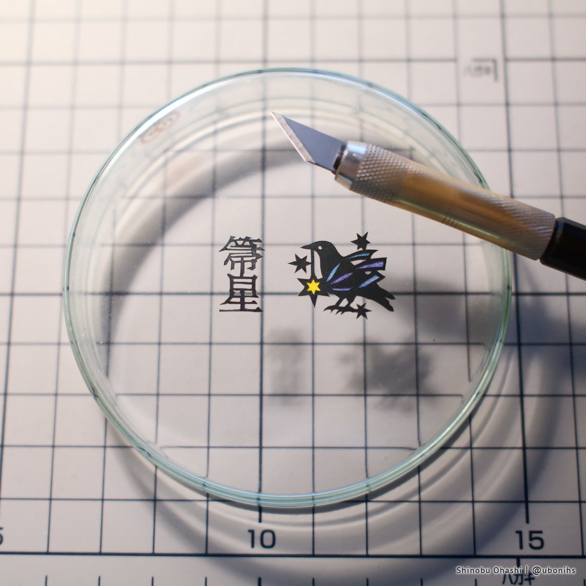 切り絵作家 大橋 忍 tweet media