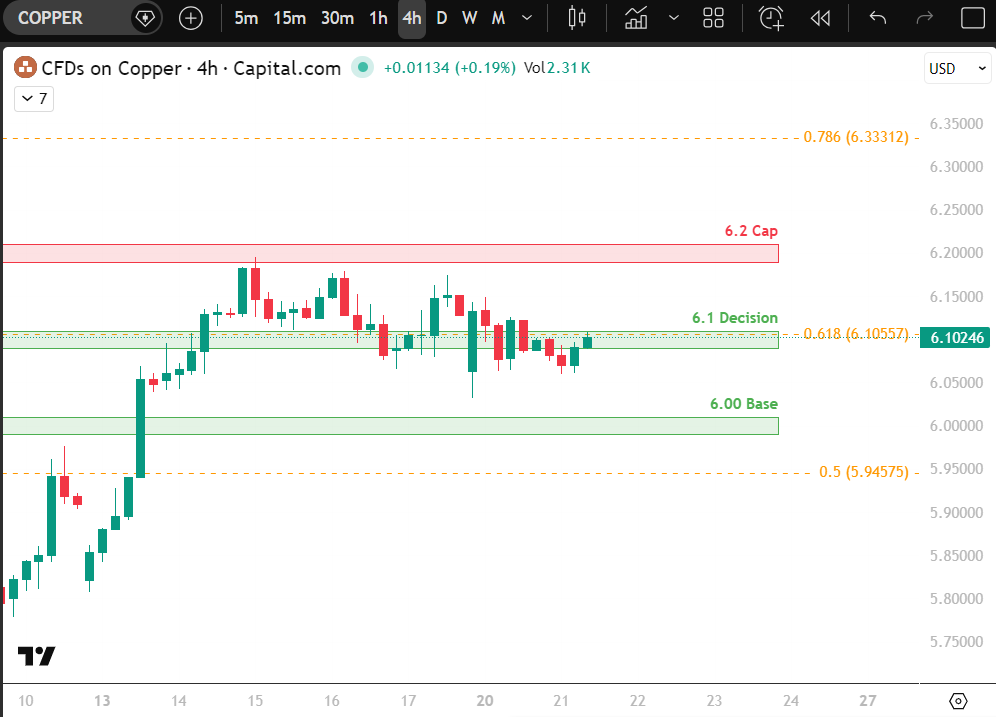 Curious | Macro Lens tweet media