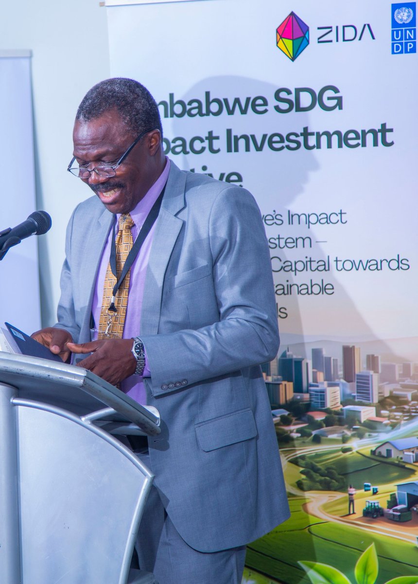 UNDP Zimbabwe tweet media