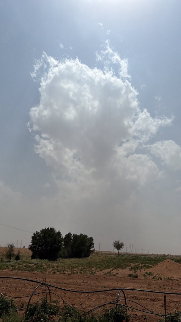 راشدالحربي tweet media