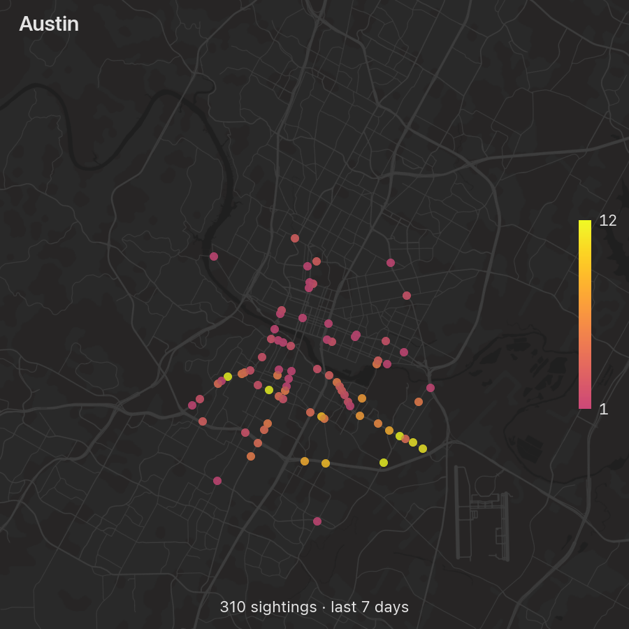 CybercabSpotter's tweet image. #cybercab #tesla #robotaxi