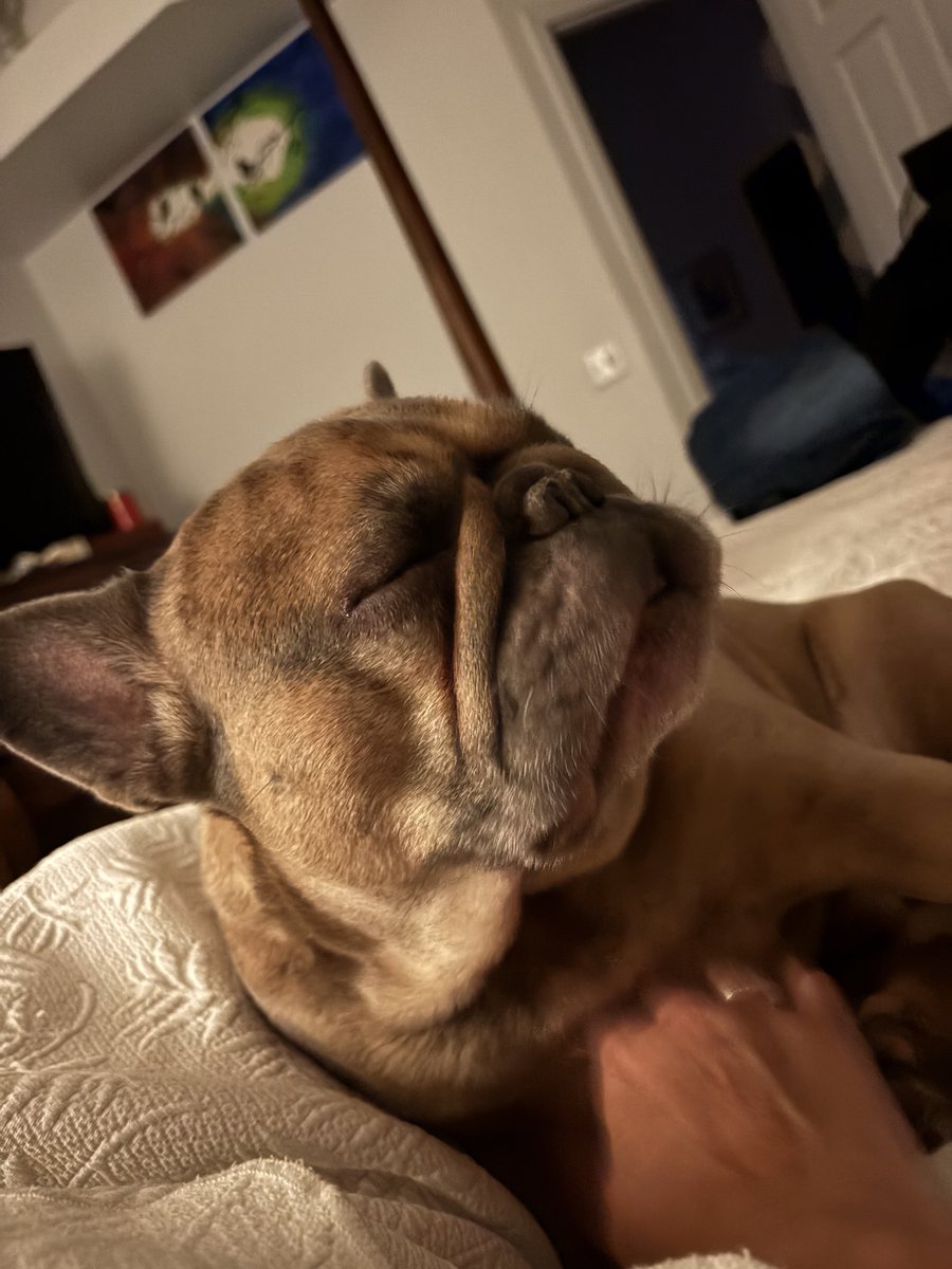 FebruaryKel tweet media