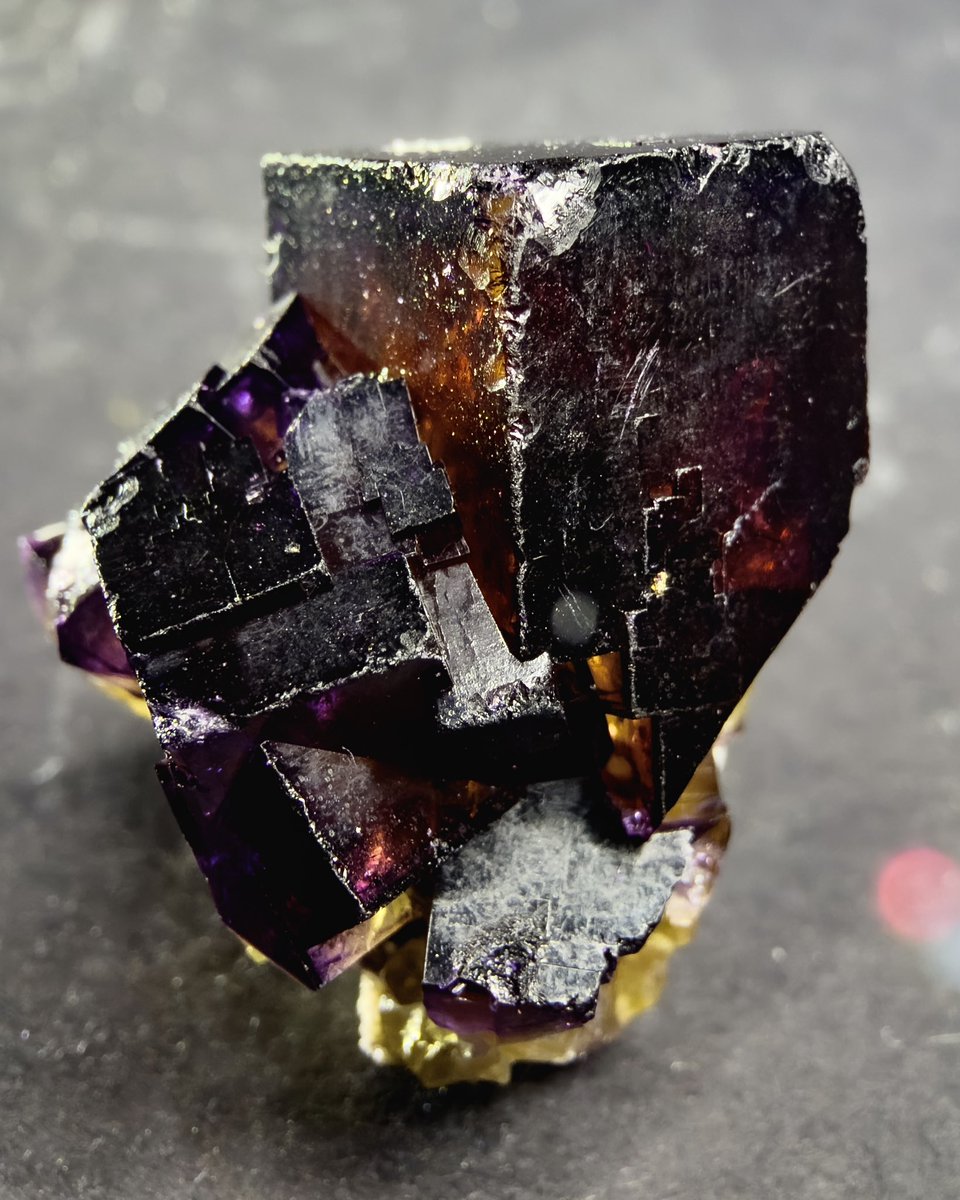 紫と黄色の美しい鉱物 結晶 10000Ritter産フローライト🇩🇪 このタイプとの出会いをどれほど