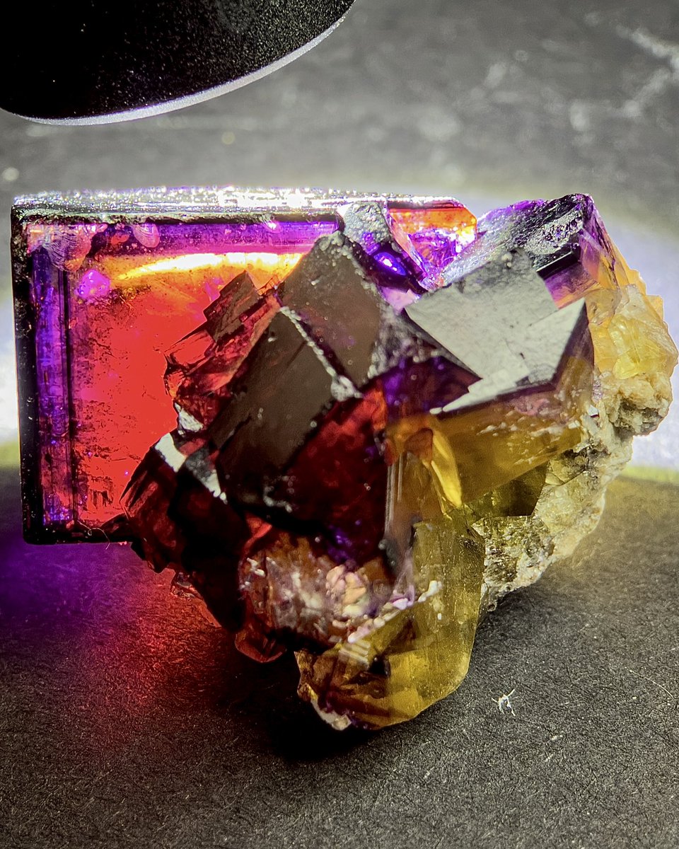 紫と黄色の美しい鉱物 結晶 10000Ritter産フローライト🇩🇪 このタイプとの出会いをどれほど