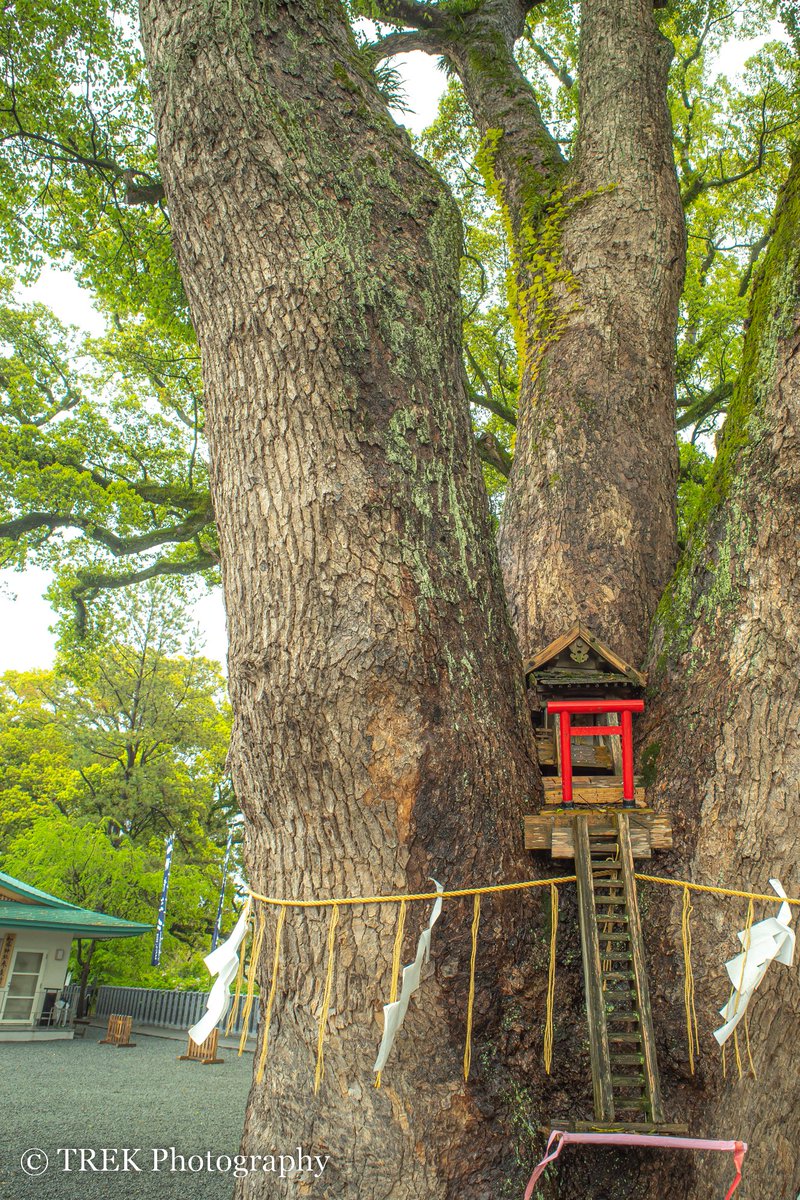 𝐓𝐑𝐄𝐊🇯🇵🐉👽☯️☀️⛩️💖📸🌈 tweet media