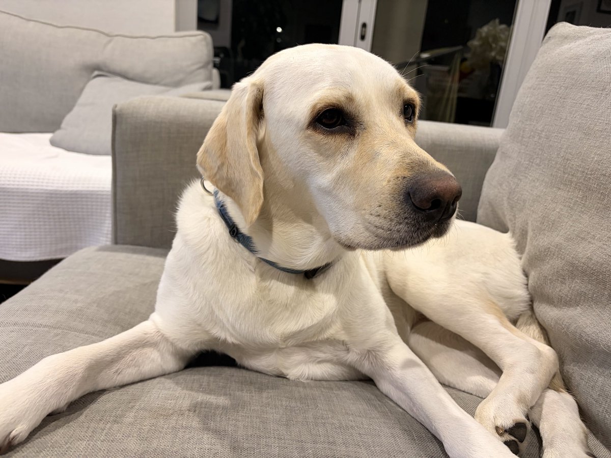 Phil Hazell tweet media