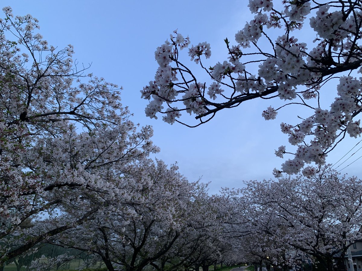 涼子@すゑひろがり涼子 tweet media