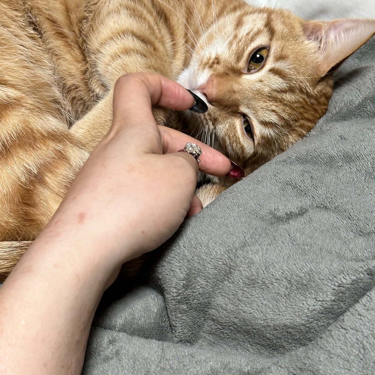 쓰레기 tweet media