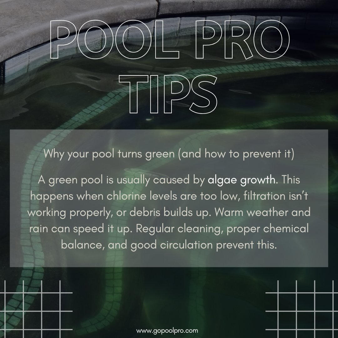 Pool Pro tweet media