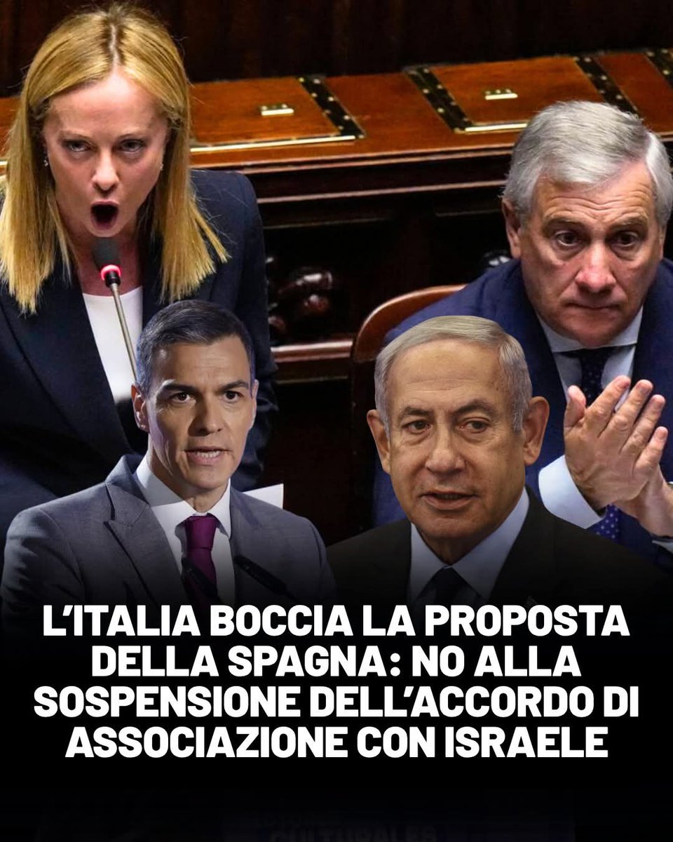 Tommaso #antifascista tweet media